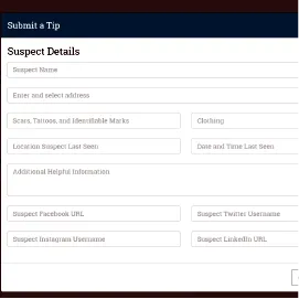 Submit a Tip - UI Development
